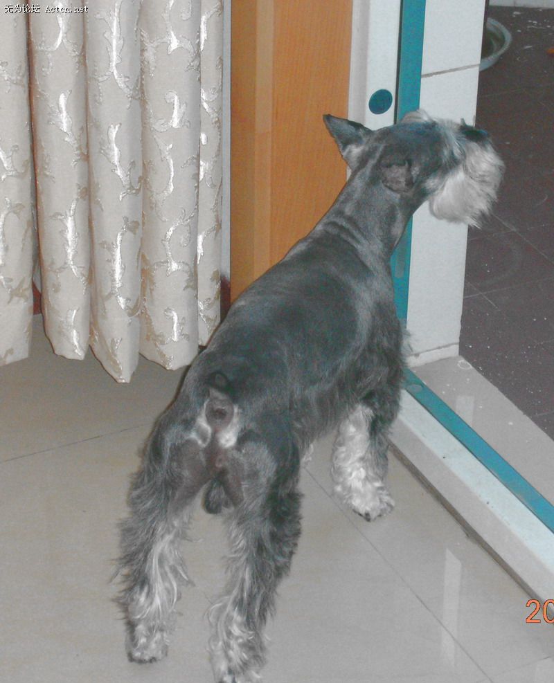 DSCN1841.JPG