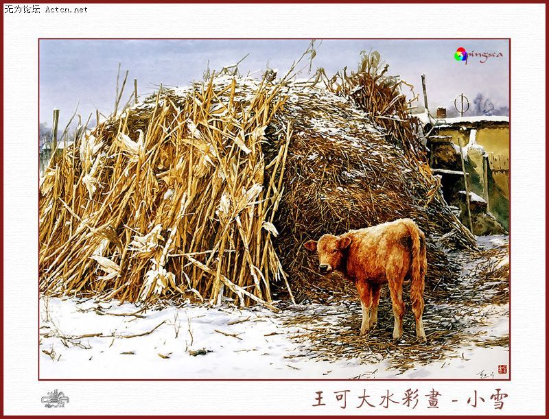 20080413_fc9a35a2585b73e483c5sbMBxlrPKleU.jpg