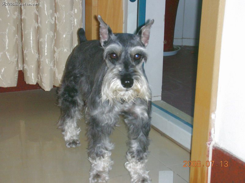 DSCN1843.JPG