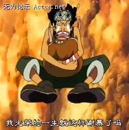 6f1f6e510809f99f8d5430aa.jpg