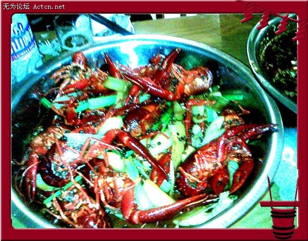 PICer200871805.jpg
