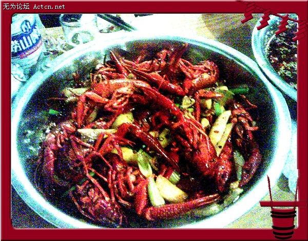 PICer200871806.jpg