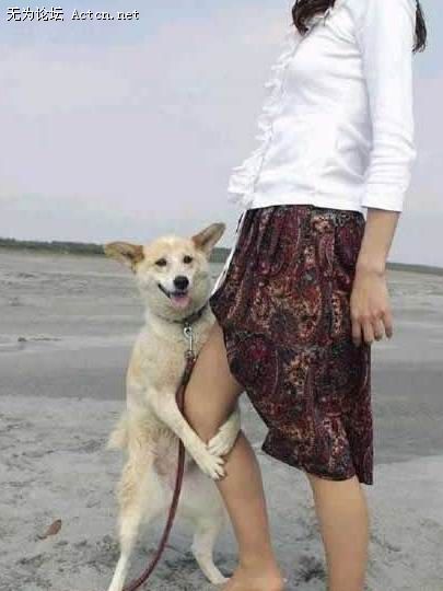 Ů˺͹