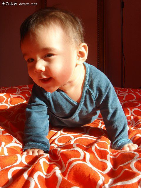 7188958_1355910.jpg