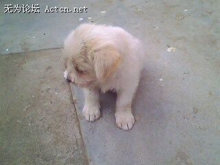 IMG0166A.jpg