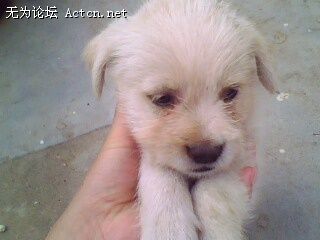 IMG0165A.jpg