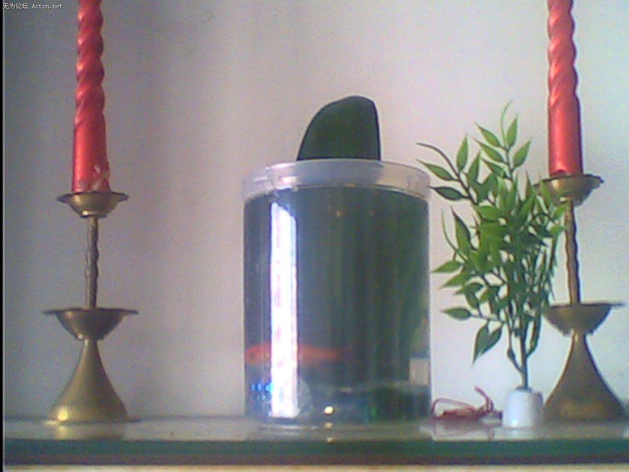 IMG0071A.jpg