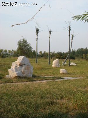 DSC01011.JPG