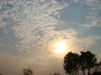 DSC01024.JPG