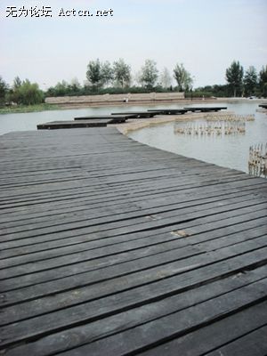 DSC01051.JPG