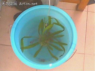 ˮͰĻ꼰ˮ