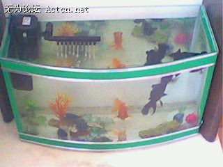 IMG0167A.jpg
