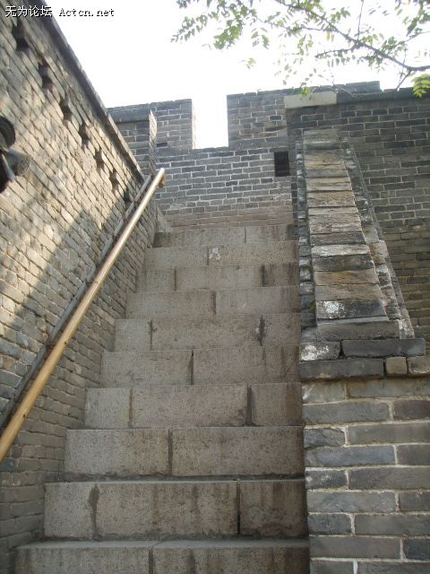 SSM15594.JPG