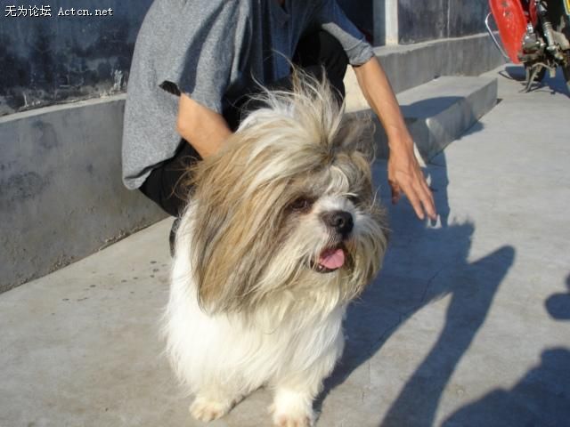DSC00072.JPG