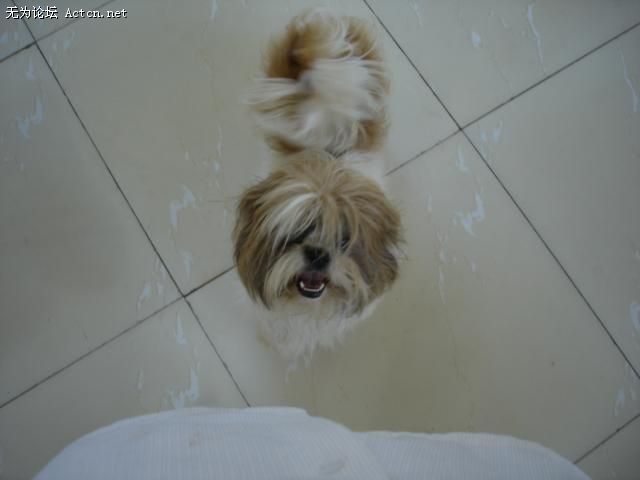 DSC00049.JPG