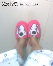IMG0336A.jpg