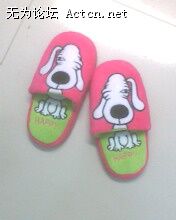 IMG0341A.jpg