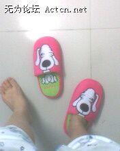 IMG0337A.jpg