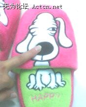 IMG0340A.jpg