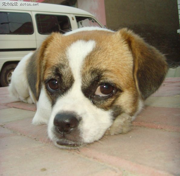 03.jpg