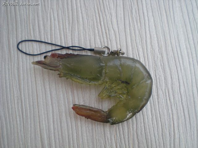 DSCN1037.jpg