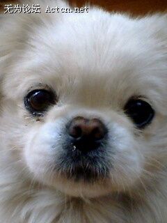 IMG0169A.jpg