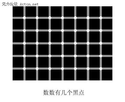 5116-15_1266-embed.jpg