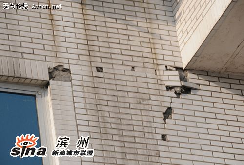 2008111923493535.jpg