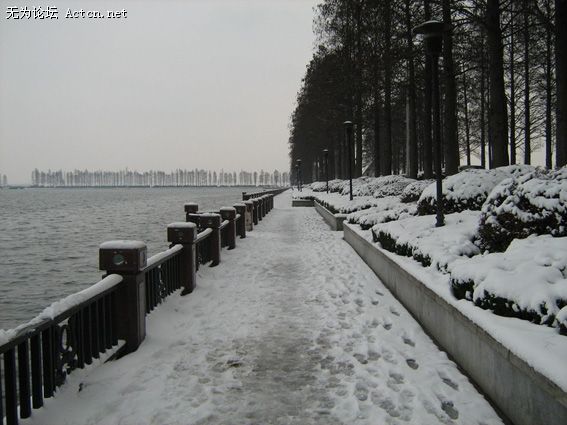 2008130151622154.jpg