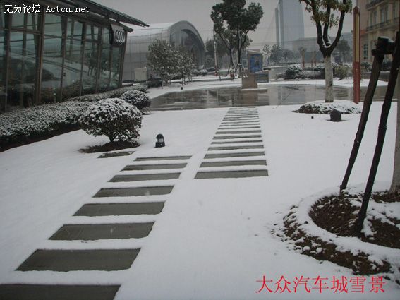 2008130151552233.jpg