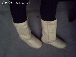 IMG0308A.jpg