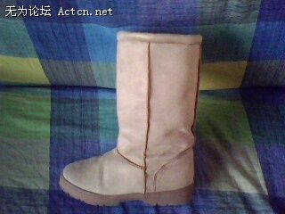 IMG0307A.jpg