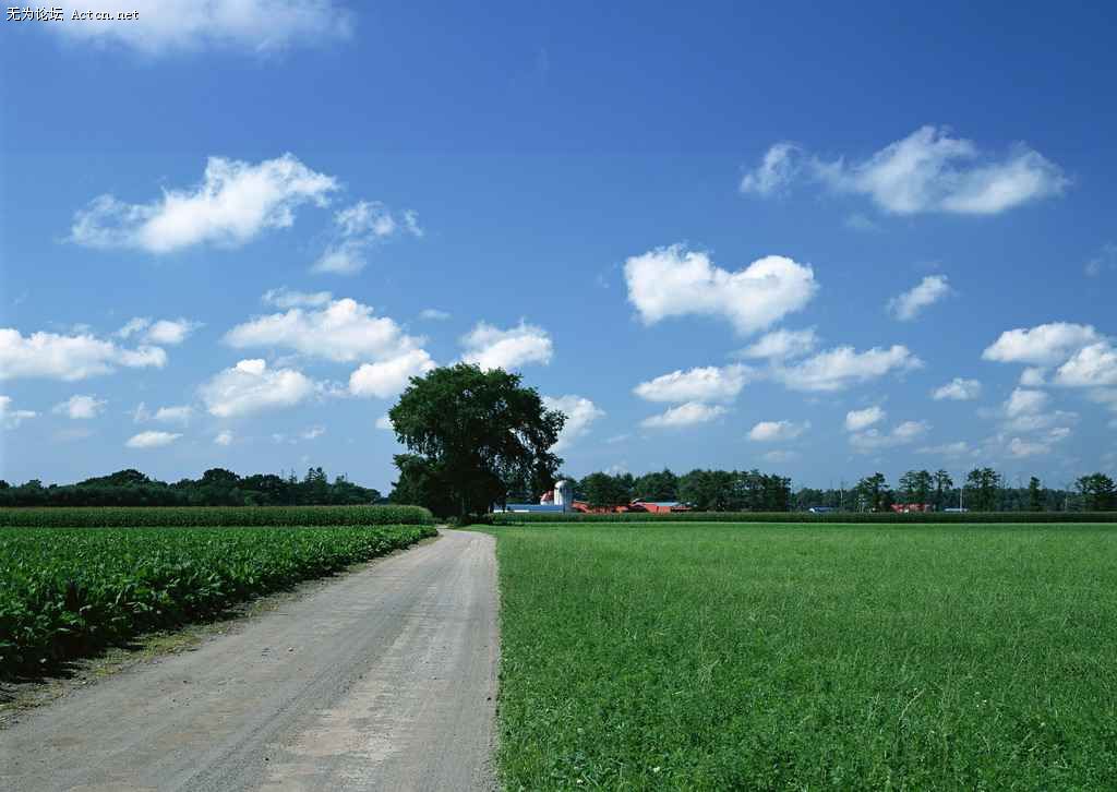dlbk031.jpg