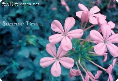 ca2f9ffc1a9ef2edfc037ffa.jpg