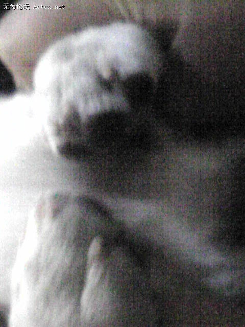 Image192.jpg