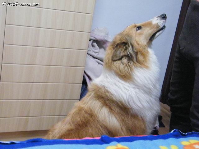 С DSCF0168.JPG