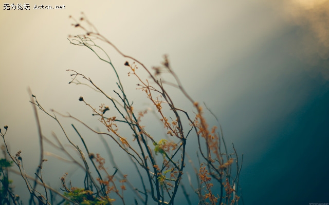 through_my_lens_overlook.jpg