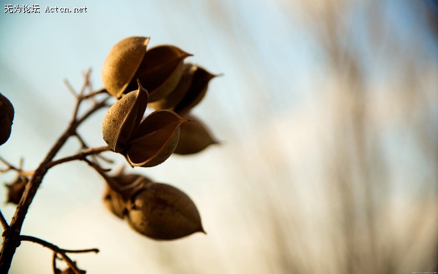 through_my_lens_how_it_starts_one.jpg