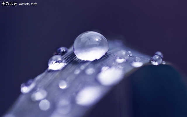01603_droplets_a.jpg
