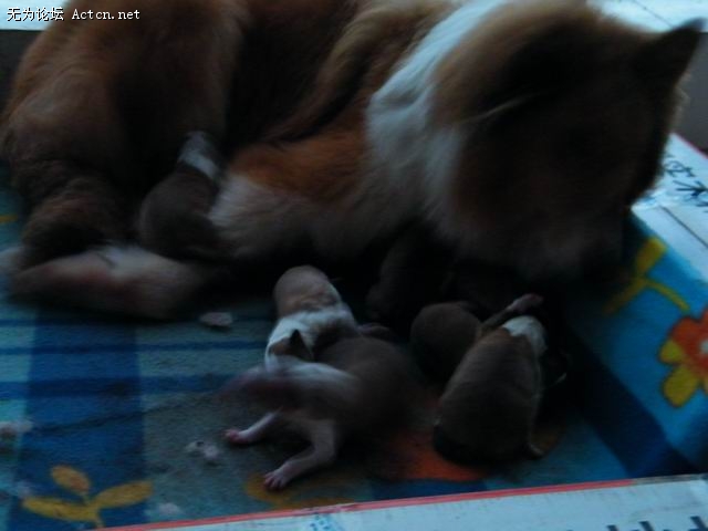 С DSCF0532.JPG