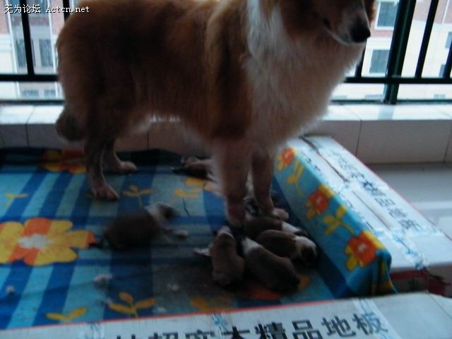 С DSCF0528.JPG