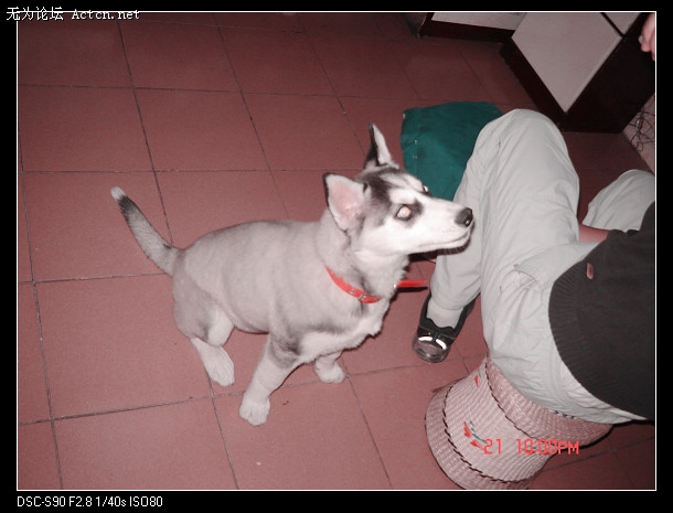 DSC01573.JPG