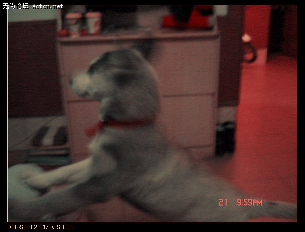 DSC01564.JPG