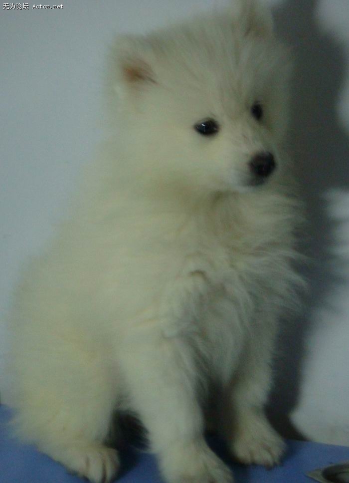 DSC02711.JPG