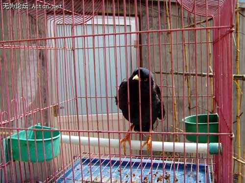 SNV35986.JPG