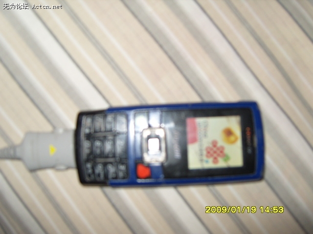 S1031532.JPG