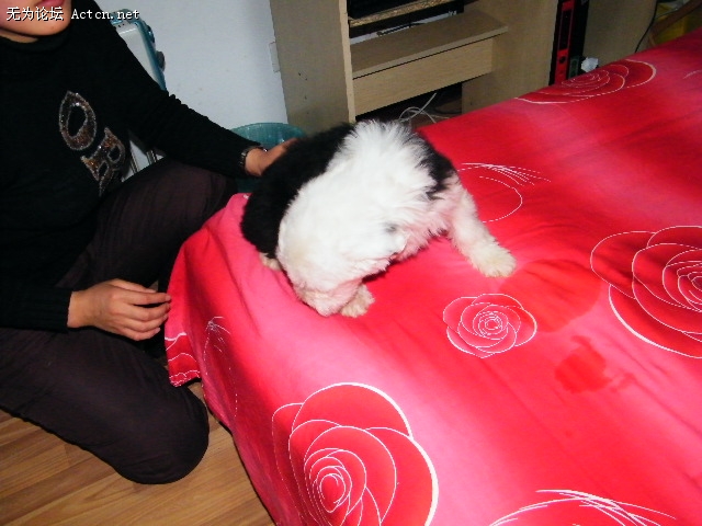 DSCF0658.jpg
