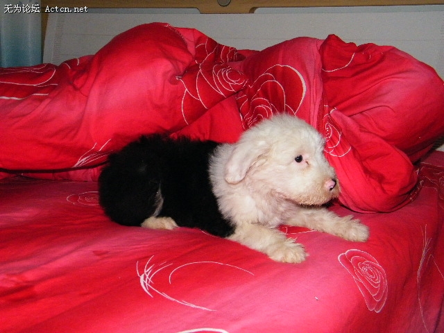 DSCF0651.jpg