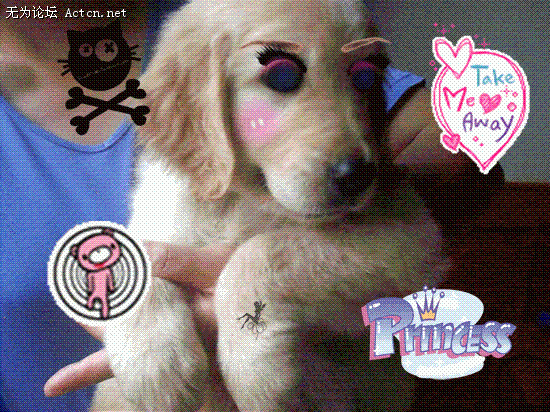 959051-IMAG0041-embed ().gif
