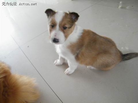 DSCF0873.JPG